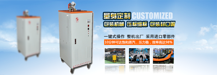 3-12kg/h包裝機械小型蒸汽發生器