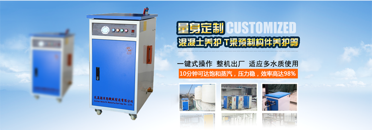 糖心VLOG免费版污專業定製混凝土蒸汽發生器