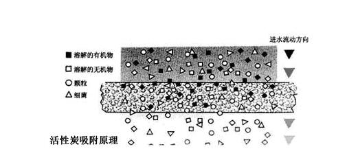 活性炭消毒糖心破解版在线观看