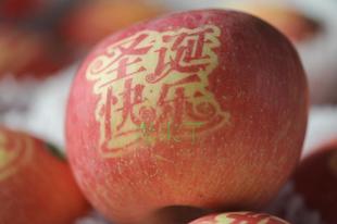 糖心VLOG免费版污元旦