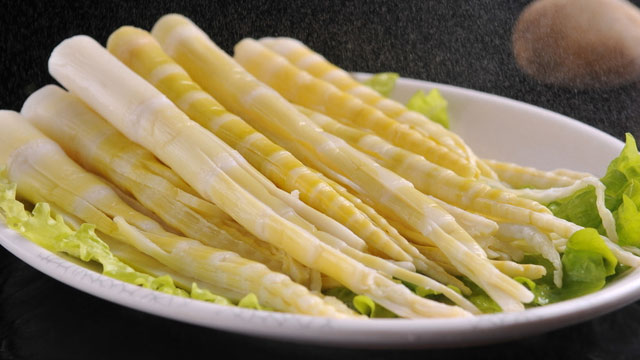 糖心视频黄色网站