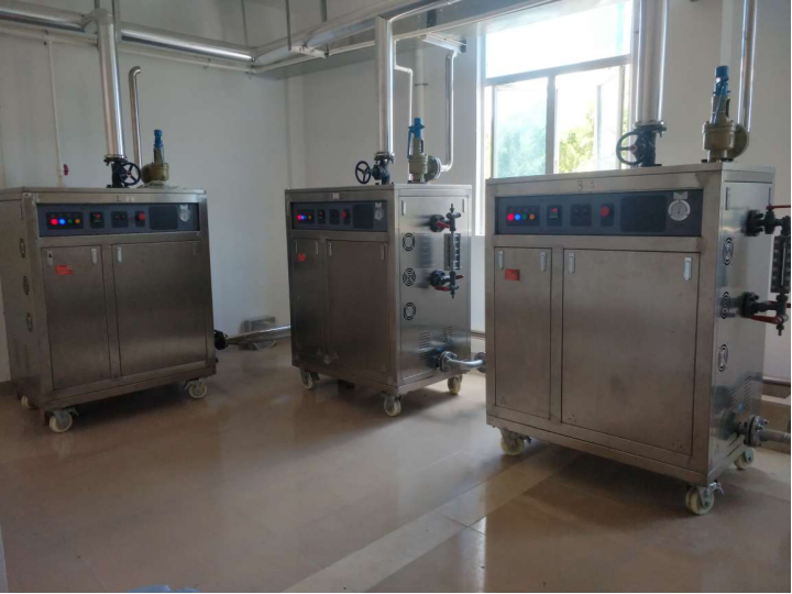 江蘇生物製藥潔淨蒸汽電蒸汽發生器