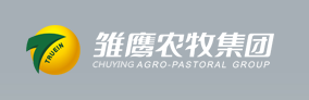 【河南】糖心VLOG免费版污雙管糖心破解版在线观看助力雛鷹農牧提高包裝產能