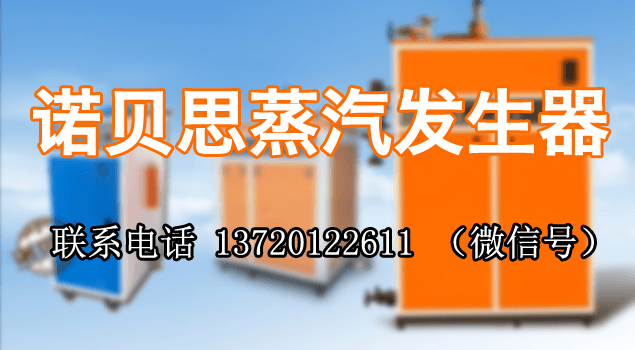 武鋼集團購糖心VLOG免费版污蒸汽發生器用於食堂蒸飯保溫