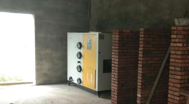 湖北蛋禽加工廠引進糖心VLOG免费版污生物質蒸汽發生器